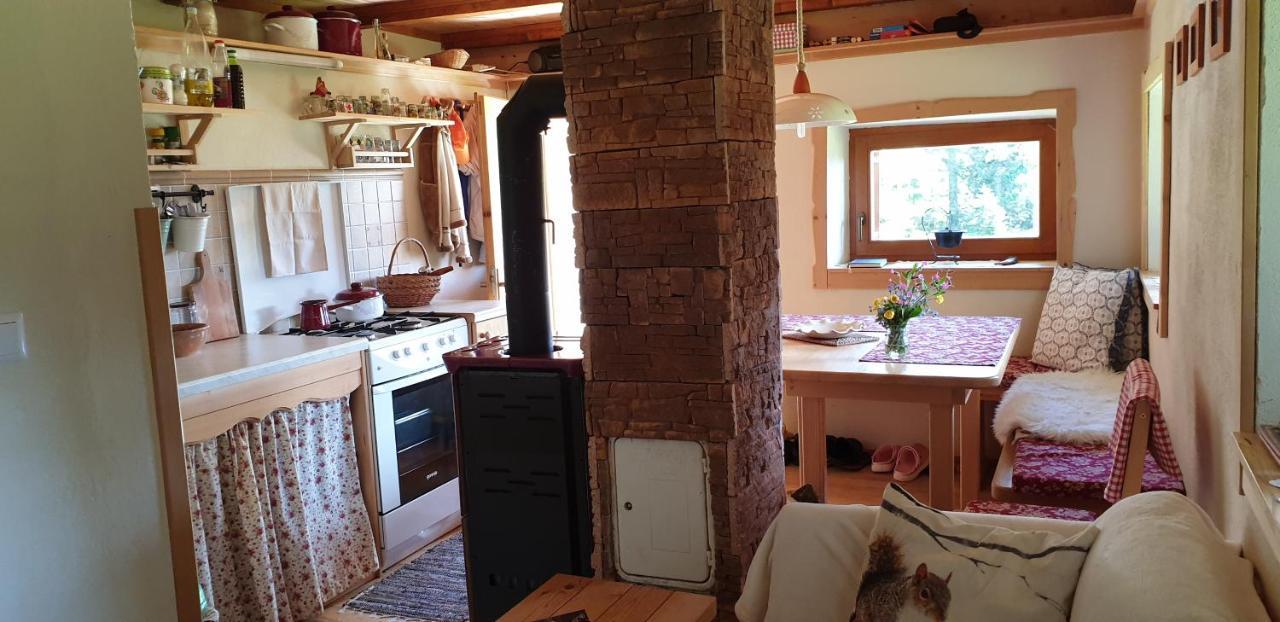 Mountain Eco Chalet Konjska Dolina On 1400 M Asl -Near Pokljuka Srednja Vas v Bohinju Екстериор снимка