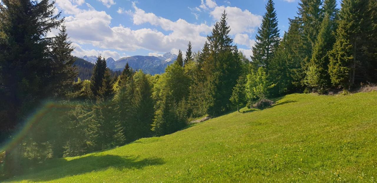 Mountain Eco Chalet Konjska Dolina On 1400 M Asl -Near Pokljuka Srednja Vas v Bohinju Екстериор снимка