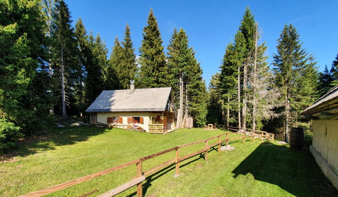 Mountain Eco Chalet Konjska Dolina On 1400 M Asl -Near Pokljuka Srednja Vas v Bohinju Екстериор снимка