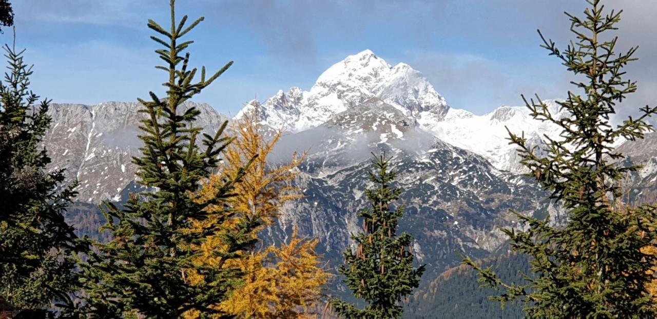 Mountain Eco Chalet Konjska Dolina On 1400 M Asl -Near Pokljuka Srednja Vas v Bohinju Екстериор снимка