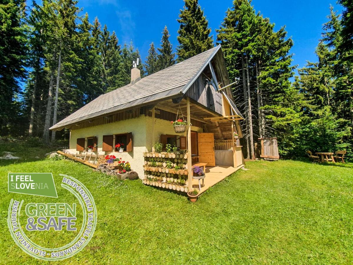 Mountain Eco Chalet Konjska Dolina On 1400 M Asl -Near Pokljuka Srednja Vas v Bohinju Екстериор снимка
